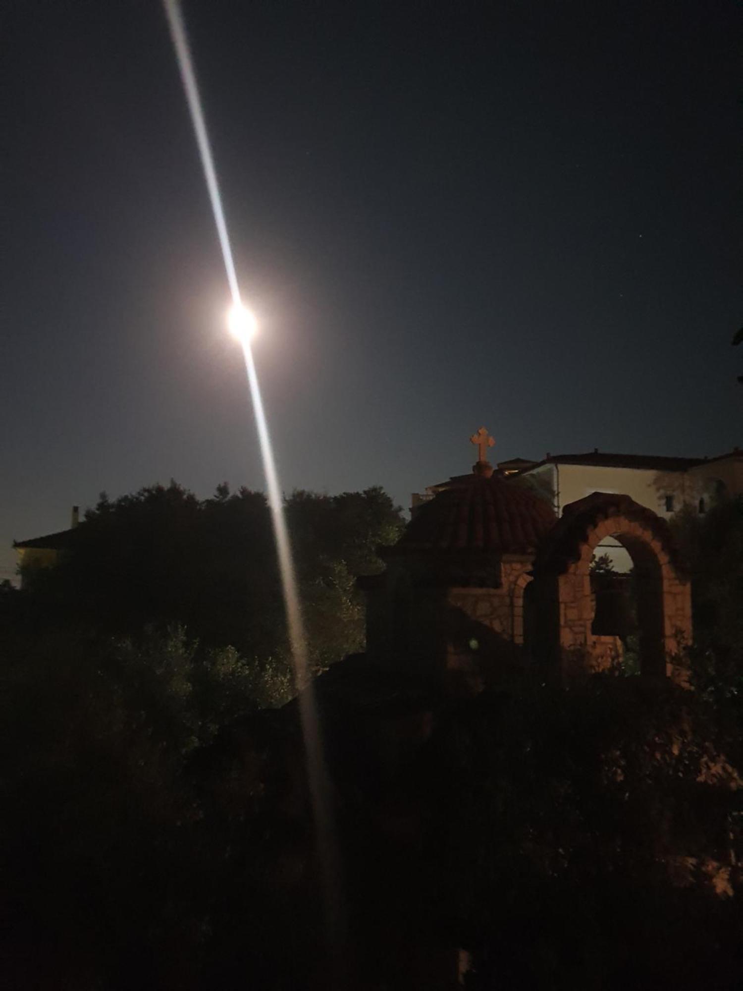 Belvedere Zakynthos Studios Vasilikí Eksteriør billede