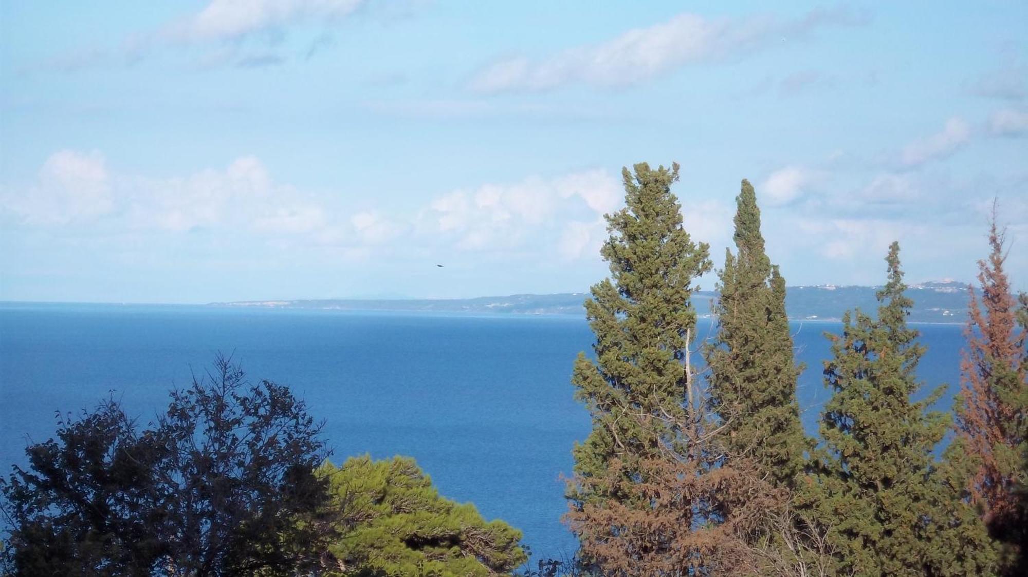 Belvedere Zakynthos Studios Vasilikí Værelse billede