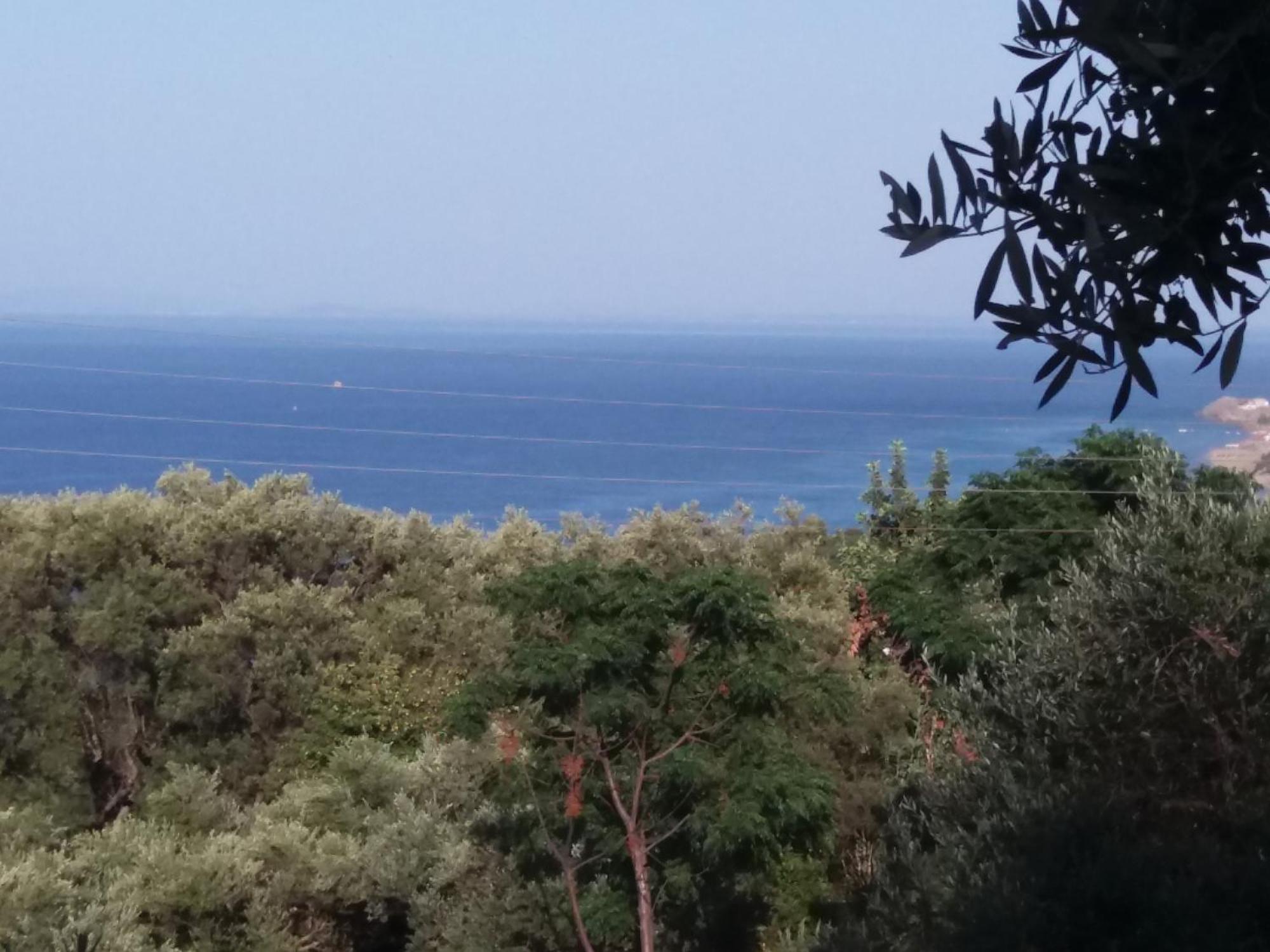 Belvedere Zakynthos Studios Vasilikí Værelse billede