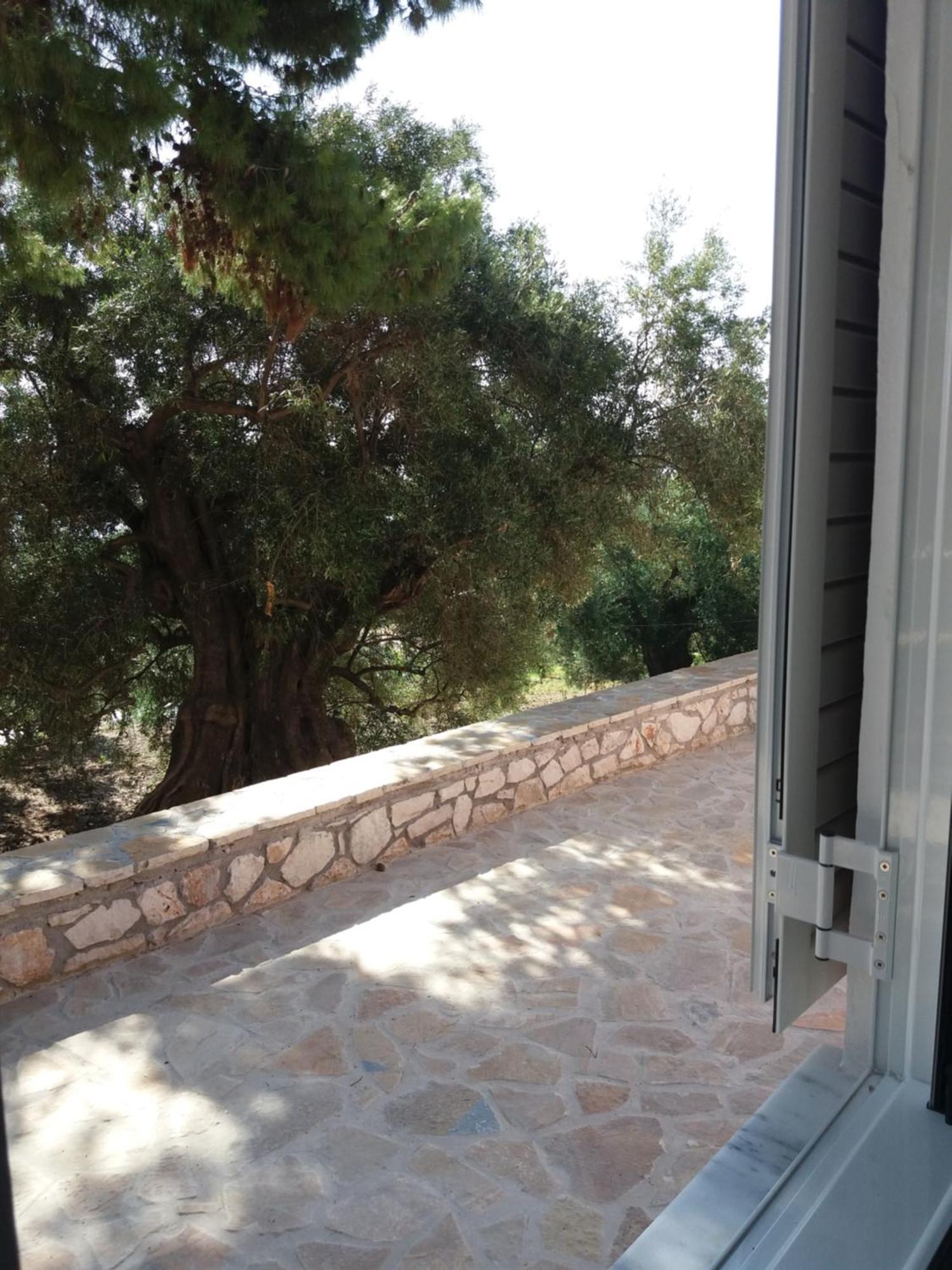 Belvedere Zakynthos Studios Vasilikí Værelse billede