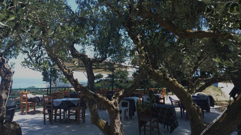 Belvedere Zakynthos Studios Vasilikí Eksteriør billede